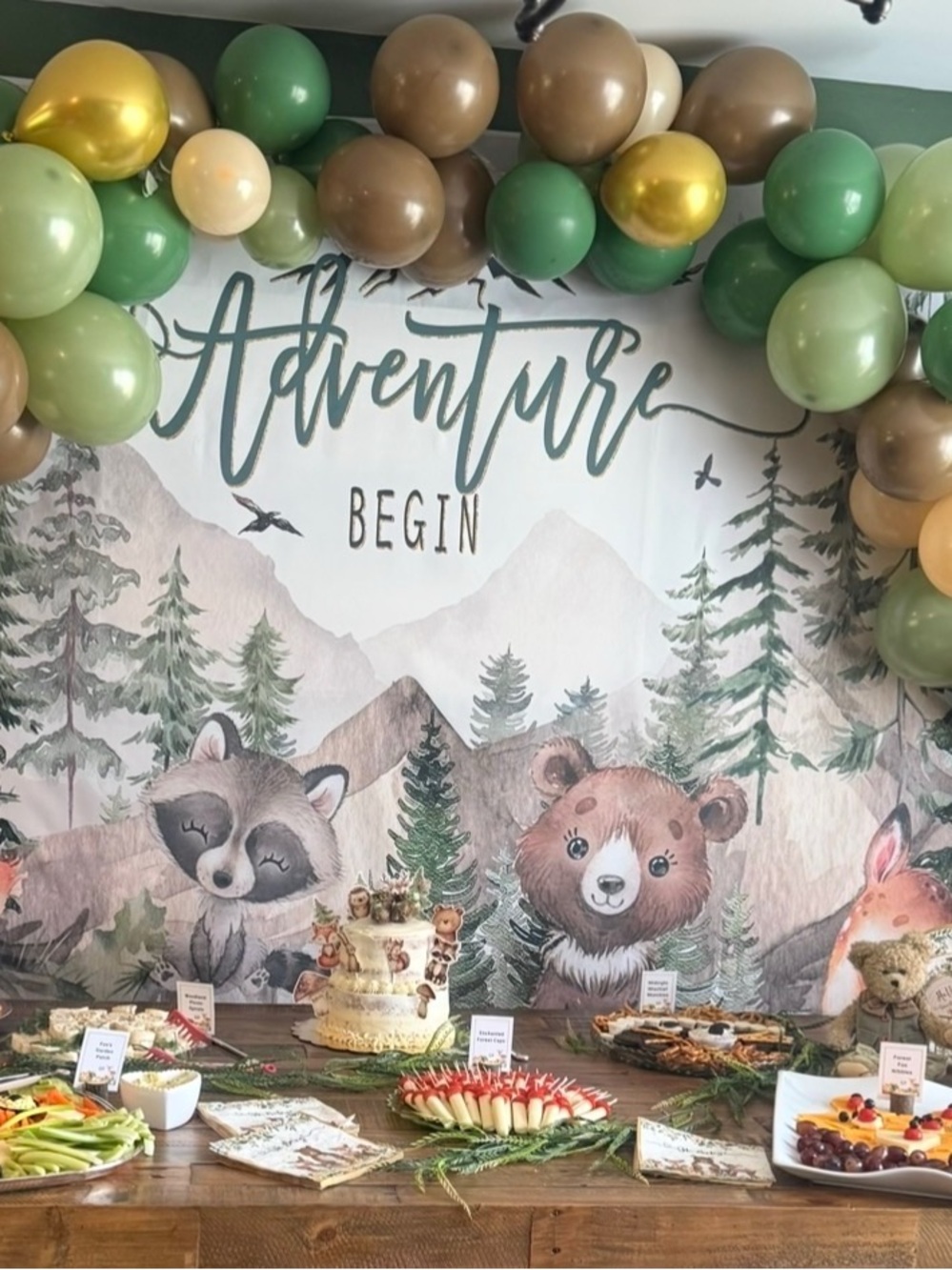 Woodland Baby Shower Decoration Lot – Backdrops, BABY Boxes, Tableware & More